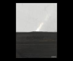 GRIGLIA PARAURTI ANTERIORE GRIGLIA RADIATORE BMW X - 17