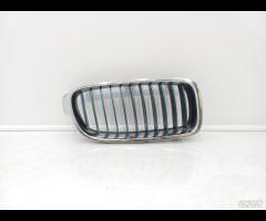 MASCHERA PARAURTI GUIDA DARIA SX BMW 330E F30 F31 - 1