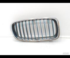 MASCHERA PARAURTI GUIDA DARIA SX BMW 330E F30 F31 - 4