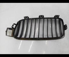 MASCHERA PARAURTI GUIDA DARIA SX BMW 330E F30 F31 - 19