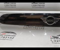 RIVESTIMENTO MANIGLIA DEL PORTELLONE POSTERIORE MI