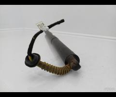 PISTONCINI AMMORTIZZATORE PORTELLONE POSTER DX SX - 11