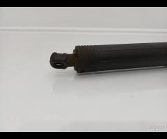 PISTONCINI AMMORTIZZATORE PORTELLONE POSTER DX SX - 13