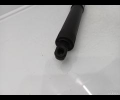 PISTONCINI AMMORTIZZATORE PORTELLONE POSTER SX DX - 10