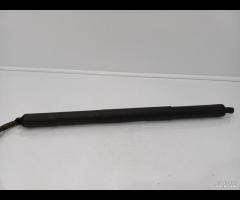 PISTONCINI AMMORTIZZATORE PORTELLONE POSTER SX DX - 12