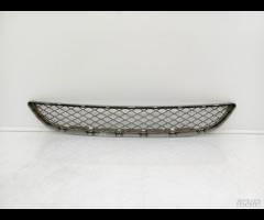 GRIGLIA PARAURTI ANTERIORE RADIATORE BMW X6 E71 20