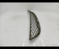GRIGLIA PARAURTI ANTERIORE RADIATORE BMW X6 E71 20 - 12