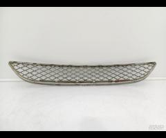 GRIGLIA PARAURTI ANTERIORE RADIATORE BMW X6 E71 20 - 15