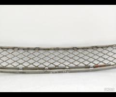 GRIGLIA PARAURTI ANTERIORE RADIATORE BMW X6 E71 20 - 17