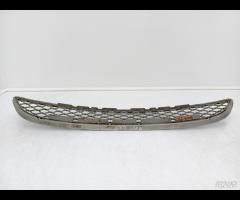 GRIGLIA PARAURTI ANTERIORE RADIATORE BMW X6 E71 20 - 19