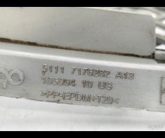 GRIGLIA PARAURTI ANTERIORE RADIATORE BMW X6 E71 20 - 21