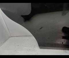 PORTA PORTIERA POSTERIORE DESTRA DX FORD B-MAX 201 - 16