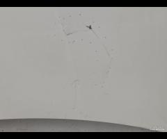 COFANO ANTERIORE BMW E90 LCI E91 LCI 2007-2011 416 - 20