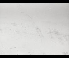 PORTA PORTIERA ANTERIORE SINISTRA SX BMW 116D F20 - 14