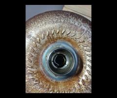 CAMBIO AUTOMATICO ZF 8HP45 2.0D 179CV 204DTD JAGUA - 21