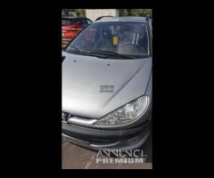 Pezzi di ricambio Peugeot 206 sw