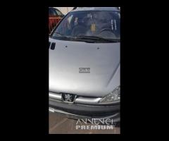 Pezzi di ricambio Peugeot 206 sw