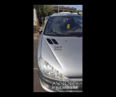 Pezzi di ricambio Peugeot 206 sw