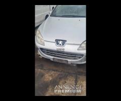 Peugeot 407 Ricambi