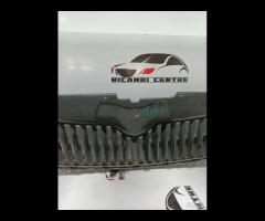 GRIGLIA PARAURTI FRONTALE SKODA FABIA 2 5J0853668C - 10