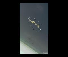 PORTA PORTIERA POSTERIORE SX NISSAN LEAF II 2017-2 - 14