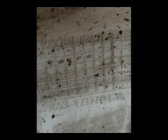 PARAURTI POSTERIORE CON SENSORI JAGUAR X-TYPE X400 - 21