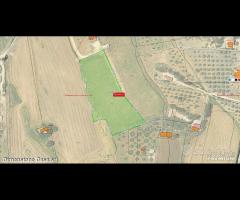 Rif.TA76|Terreno agricolo San Cataldo