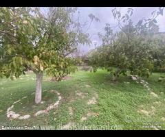 Rif.VL104|Villa San Cataldo - 24