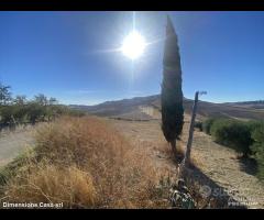 Rif.TA75|Terreno agricolo Caltanissetta