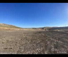 Rif.TA75|Terreno agricolo Caltanissetta - 7