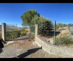 Rif.TA75|Terreno agricolo Caltanissetta - 9