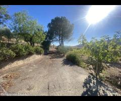 Rif.TA75|Terreno agricolo Caltanissetta - 10