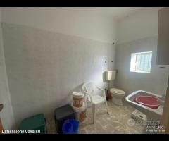 Rif.TA75|Terreno agricolo Caltanissetta - 12