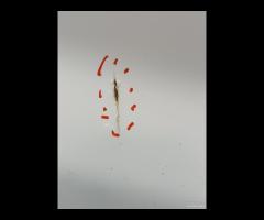 PORTA PORTIERA POSTERIORE DX VOLKSWAGEN TRANSPORTE - 8