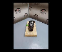 DIFFERENZIALE POSTERIORE BMW F20 2013 2.0D N47D20C - 1