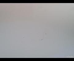 PORTA PORTIERA ANTERIORE DESTRA FORD FOCUS 2010-20 - 13