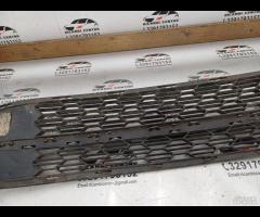 GRIGLIA CENTRALE INFERIORE+BARE MASCHERINA 2012 MI - 17