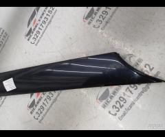 MODANATURA ESTERNO PANNELLO PARABREZA SX 2021 RANG - 5