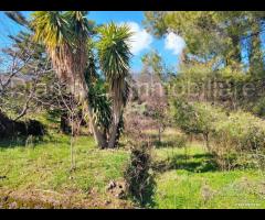 Rustico con terreno a Montargano di Mascali