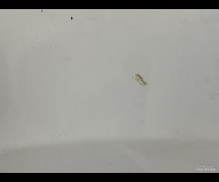 PARAFANGO ANTERIORE DESTRO DX FORD KUGA 2012 - 201 - 7