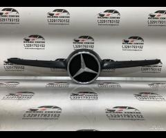 MASCHERINA GRIGLIA PARAURTI ANTERIORE GRIGLIA RADI - 2