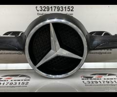 MASCHERINA GRIGLIA PARAURTI ANTERIORE GRIGLIA RADI - 4