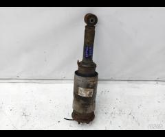 AMMORTIZZATORE ANTERIORE PNEUMATICA RANGE ROVER SP - 10