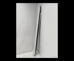 MINIGONNA LATERALE SOTTOPORTA SINISTRA BMW X5 E70 - 13