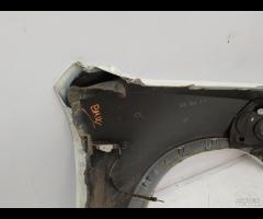 PARAFANGO ANTERIORE SINISTRA BMW X5 E70 LCI 2007-2 - 19