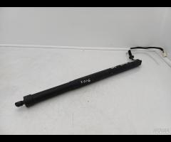 PISTONCINI AMMORTIZZATOR PORTELONE POST DX LR DISC - 10