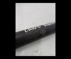 PISTONCINI AMMORTIZZATOR PORTELONE POST DX LR DISC - 19