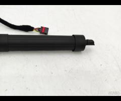 PISTONCINI AMORTIZATORE PORTELLONE POST SX LR DISC - 9