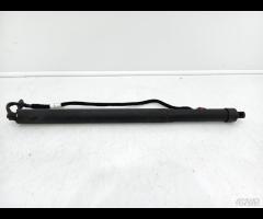 PISTONCINI AMORTIZATORE PORTELLONE POST SX LR DISC - 10