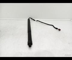 PISTONCINI AMORTIZATORE PORTELLONE POST SX LR DISC - 11